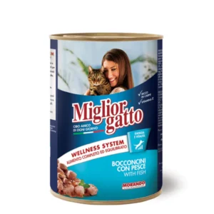 Miglior gatto With Fish 405g