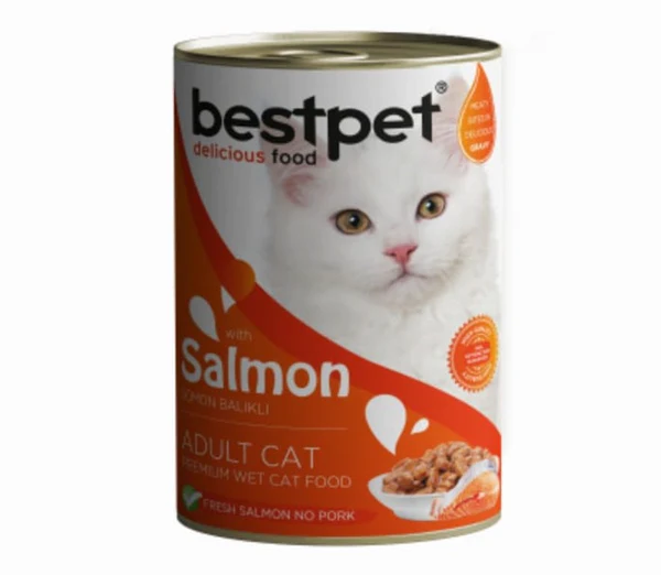 Best pet Cat with salmon 400g