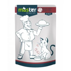 Master Adult Cat Wet Food in Jelly Pouch (Meat)