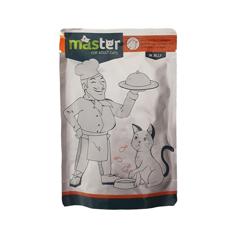 Master Adult Cat Wet Food in Jelly Pouch (Poultry)