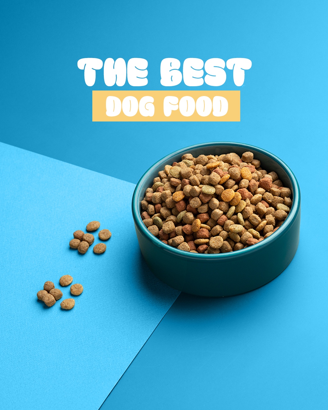 best dog food