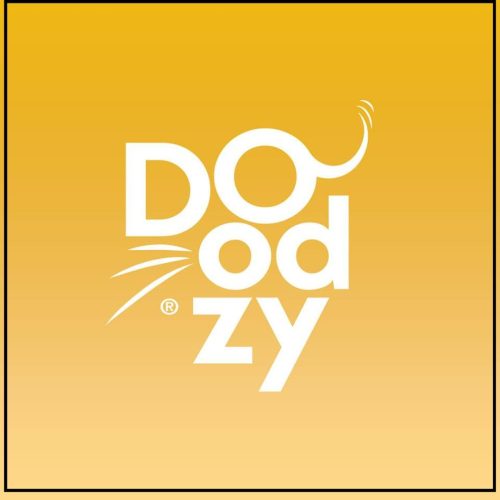 Doodzy