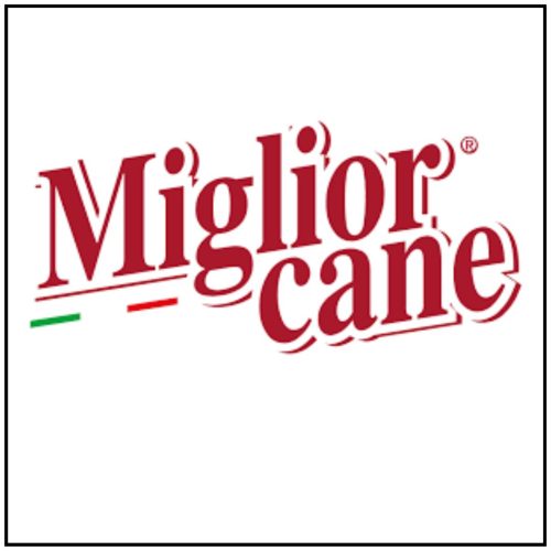 Miglior Cane